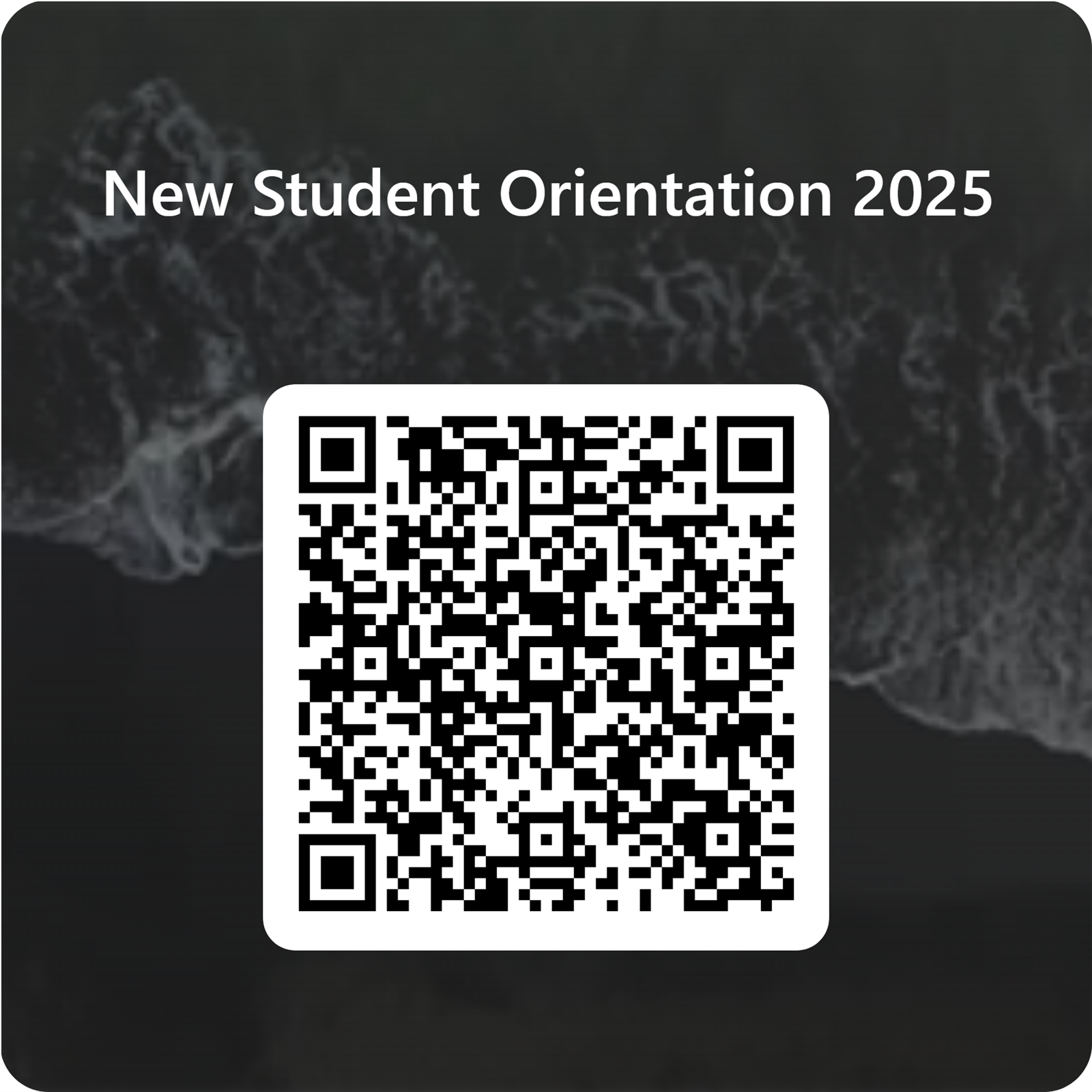  Click here to register.